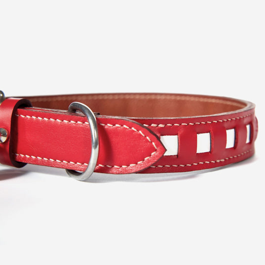 Red Square-Cutout Leather Dog Collar - Barknod