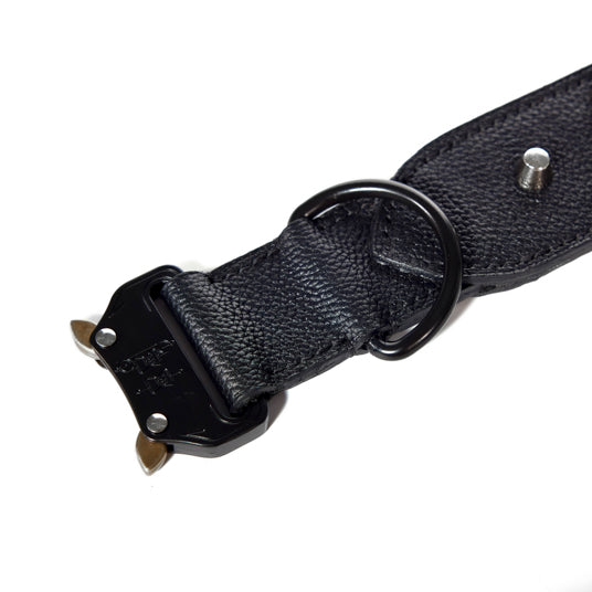 Black Studded Dog Collar - Barknod